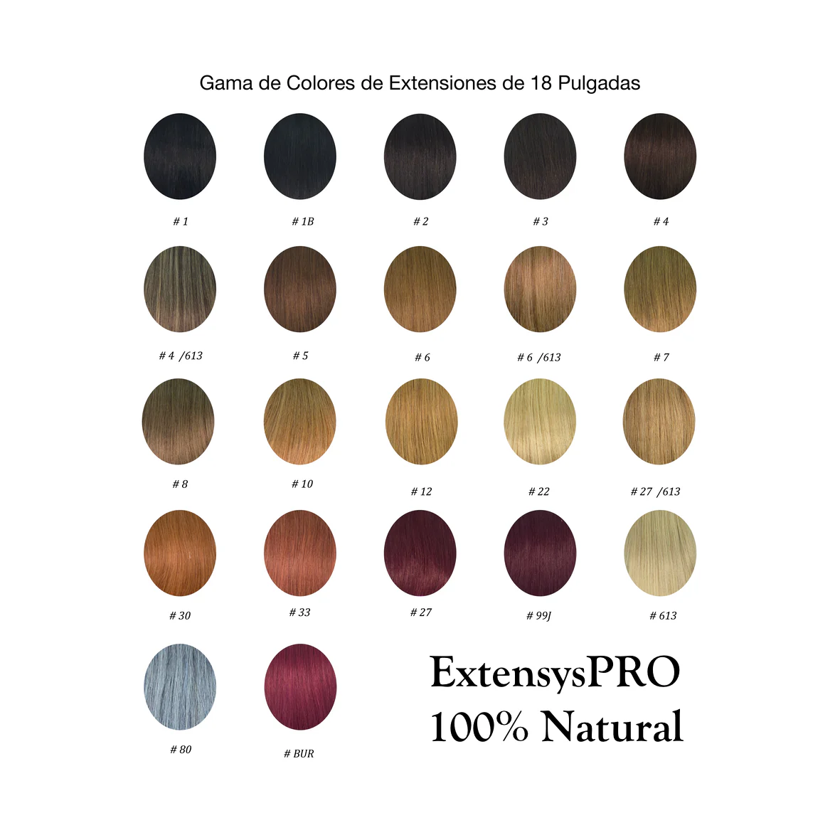 Imagen del producto 2